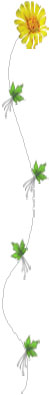 Glass Acid texture, Glass Fusing, 